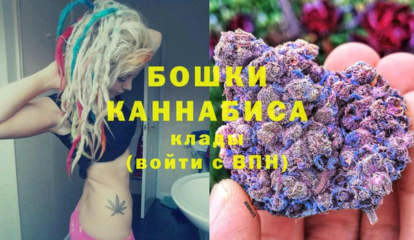 mdma Заводоуковск